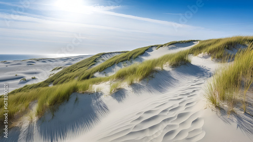 Grey Dunes at the Curonian Spit