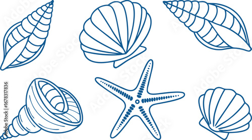 Assortment of seashells and starfish line art illustrations in blue on a transparent backdrop