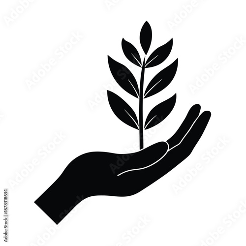 Hand holding a small plant sprout