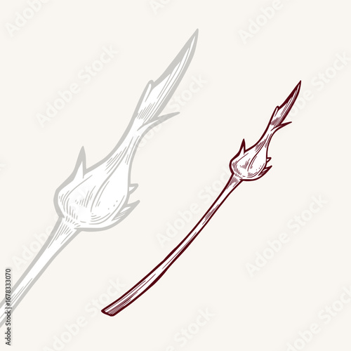 Small unopened rosebud, outline vector illustration. Rose element in ink style. Line drawings of botanical flower elements for cosmetology in monochrome color