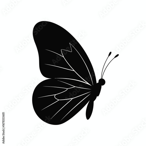 Black butterfly wing silhouette with delicate veins insect