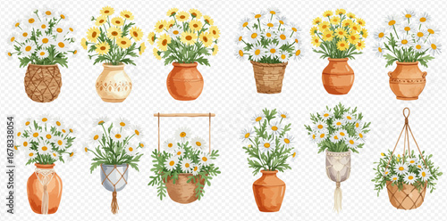 A watercolor collection of white and yellow daisy bouquets in various rustic pots, vases, and hanging baskets.