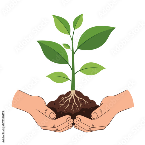 Hands gently holding a healthy green plant growing from rich soil showing roots and leaves in full bloom