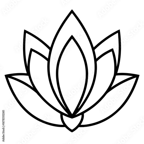 lotus flower vector