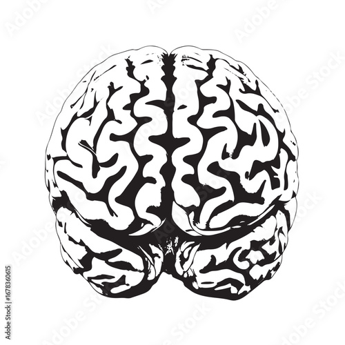 Striking stylized brain illustration for neuroscience research and medical education materials, showcasing human intellect