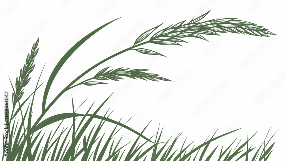 Fototapeta premium Green grass stalks and blades in a stylized illustration with a white background