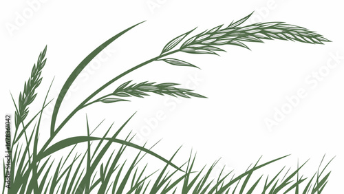 Green grass stalks and blades in a stylized illustration with a white background