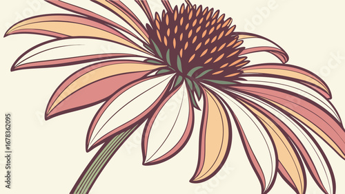Fotografie Stylized illustration of a coneflower with delicate petals in shades of peach cr