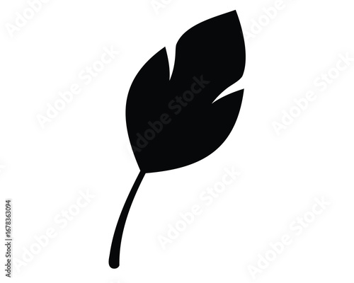 Simple yet elegant illustration of a black leaf on a white background