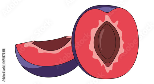 Vibrant illustration of two plum halves showcasing their juicy interior and single stone against a clean white backdrop