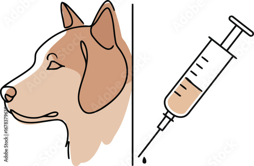 Dog vaccination vet care pet health animal medicine