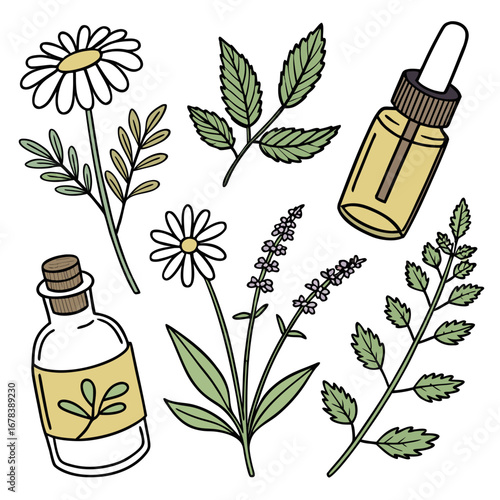 set of herbal medicine
