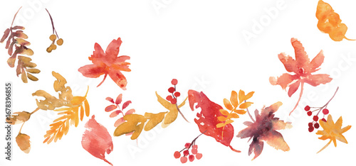 水彩。水彩画タッチで描いた秋の木の葉ベクターイラスト。秋の落ち葉と木の実セット。Watercolor. Vector illustration of autumn leaves painted with a watercolor-like touch. Set of autumn fallen leaves and berries.