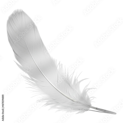 Single white feather isolated on transparent background