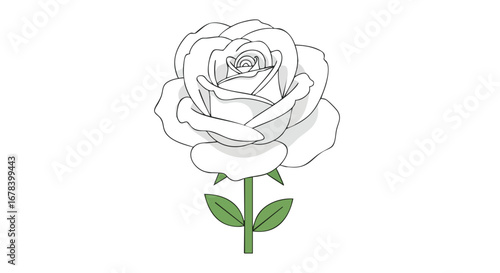 Delicate floral illustration featuring a single white rose with a verdant stem and leaves on a pristine background rendered in a minimalist style