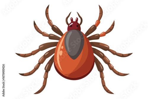 Engorged Tick Illustration with Eight Legs and Reddish Brown Body with Dark Grey Markings, a Detailed Biological Vector