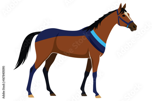 Elegant Brown Horse with Dark Blue Harness and Bridle Standing on White Background A Striking Animal Portrait