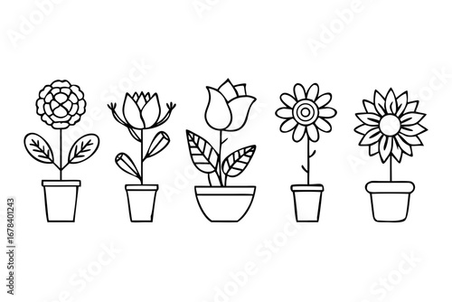 Vector art of collection of flowers in pots in line art
