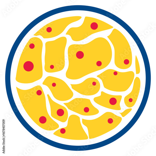 human-cells-tissue-biology-vector.ai