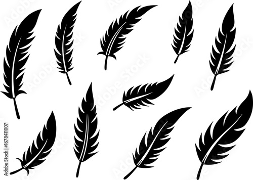 feathers vector illustration, feather, bird, vector, pen, quill, illustration, set, icon, plume, silhouette, pattern, wing, symbol, art, light, drawing, ink, design, fluffy, nature, writing, soft, obj