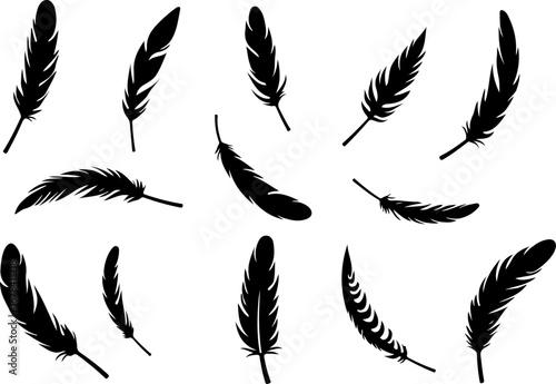 feathers vector illustration, feather, bird, vector, pen, quill, illustration, set, icon, plume, silhouette, pattern, wing, symbol, art, light, drawing, ink, design, fluffy, nature, writing, soft, obj