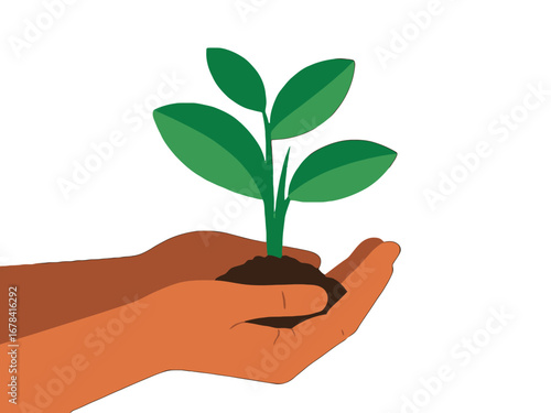 Vector art of hands holding a young green plant seedling