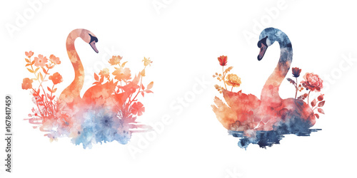 abstract color silhouette of swan and flowers watercolor vector illustration