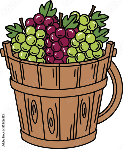 Wooden bucket brimming with ripe red and green grapes agricultural harvest fruit bounty vine produce vector