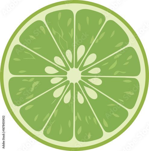 Vibrant lime fruit slice illustration refreshing citrus segment healthy food ingredient graphic isolated vector