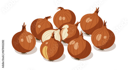 Fresh brown onions with one cut open in detailed flat design
