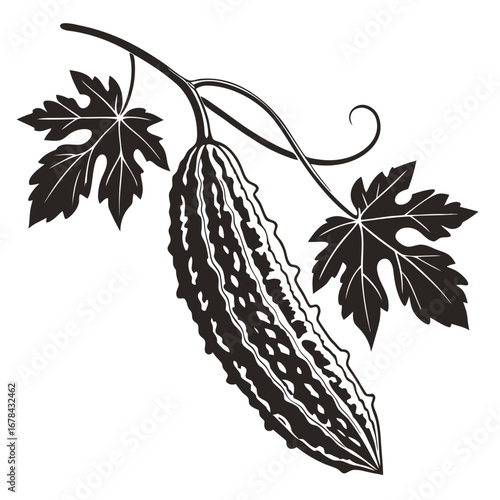 Bitter melon gourd fruit with leaves silhouette