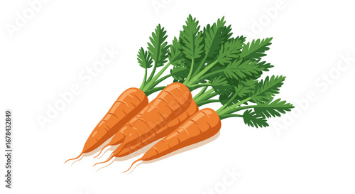 Fresh carrots with green leaves on white background for healthy food concepts