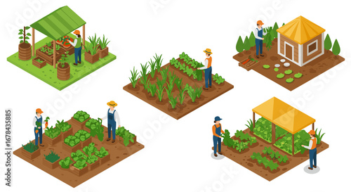 Sustainable farming practices with isometric modern farm plots