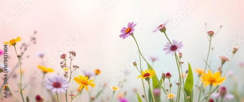 Pastel field flowers & leaves on soft pastel background, ample copy space, petals, pastel