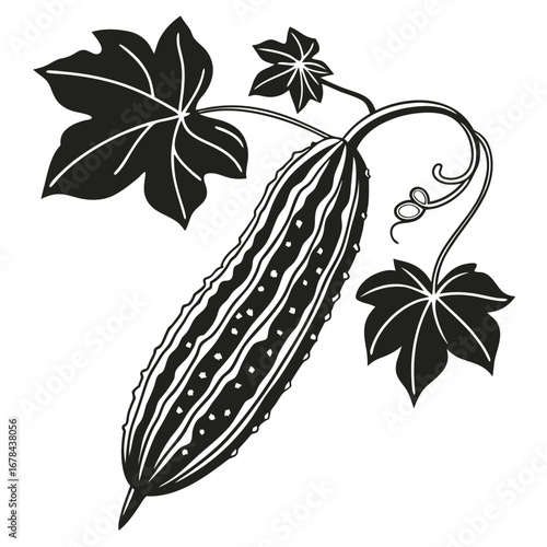 A detailed botanical illustration of a bitter melon with leaves and tendrils silhouette