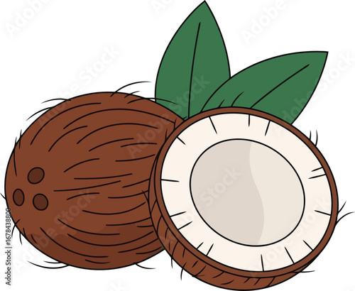 Fresh ripe coconut halved tropical fruit healthy eating natural organic ingredient vector