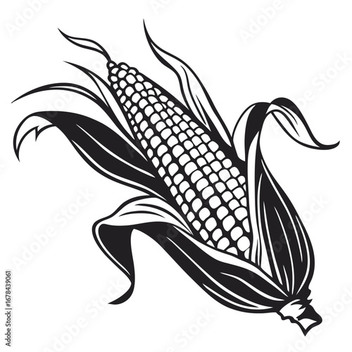 Detailed black and white illustration of a ripe corn cob silhouette