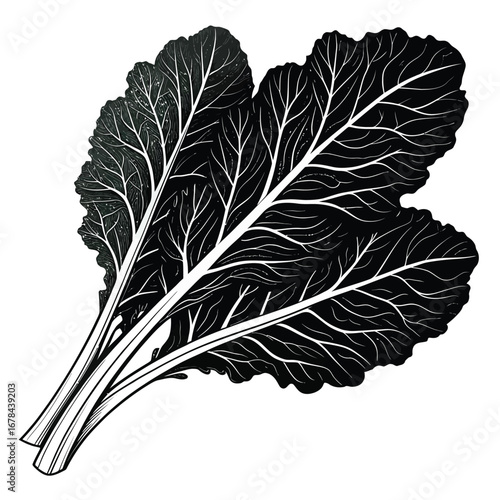 Bunch of dark leafy greens silhouette