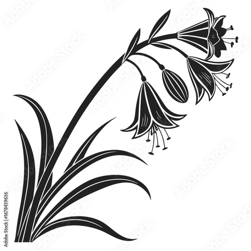 Elegant black silhouette of a bellflower stem with blossoms and leaves