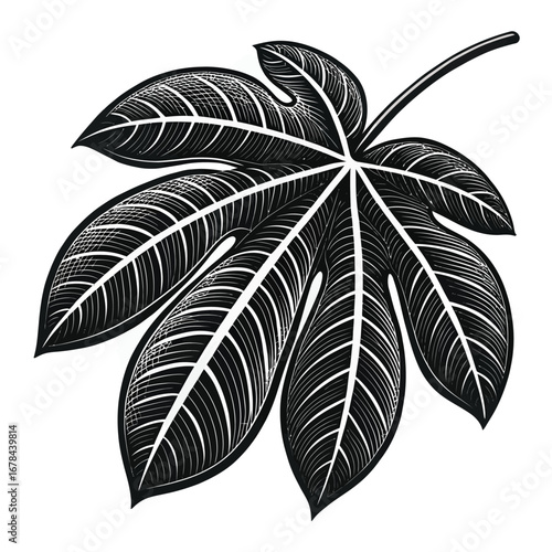 Detailed black and white castor bean leaf silhouette