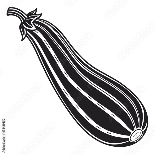 Black and white silhouette of a long striped zucchini vegetable