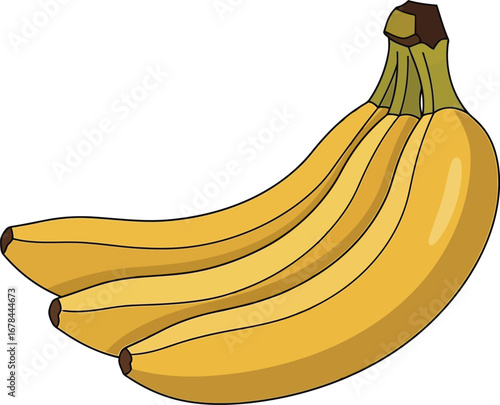 Fresh yellow banana bunch healthy tropical fruit illustration food ingredient vector