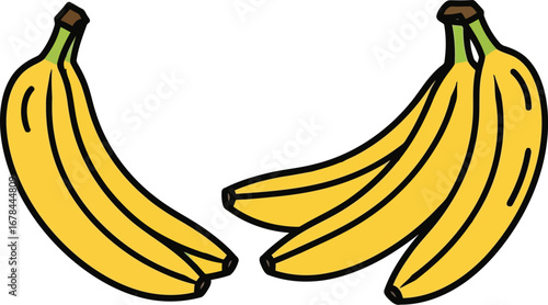 Fresh organic yellow bananas fruit illustration bunch delicious healthy tropical food vector
