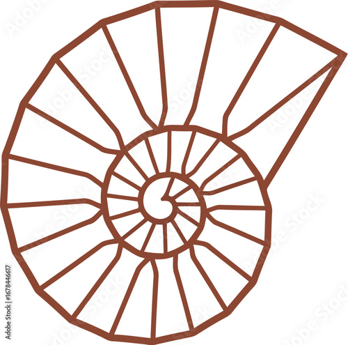 Ammonite fossil spiral marine ancient history natural science paleontology sea creature organism vector