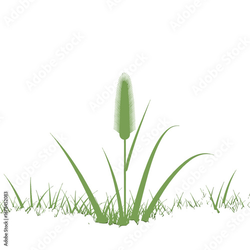 Green Grass and Weeds Graphic Illustration in White Background Minimalist Style