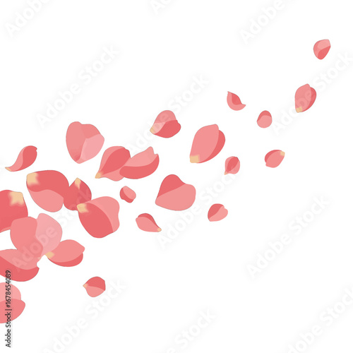 Floating Soft Pink Rose Petals Scatter on White Background for Romantic Decoration and Delicate Floral Design