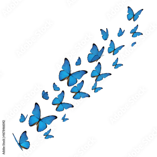 Group of Blue Butterflies Flying on White Background Creating Swarm Pattern