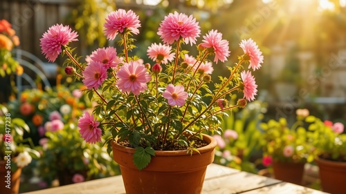 Wallpaper Mural Delicate Pink Flowers, Garden Setting, Sunny Tabletop Torontodigital.ca