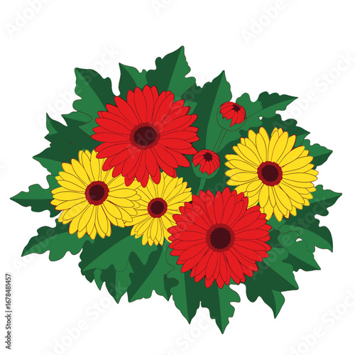 Red and Yellow Gerbera Daisy Bouquet with Green Leaves Isolated on White Background Botanical Illustration