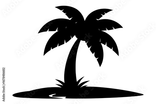 silhouette of palm tree